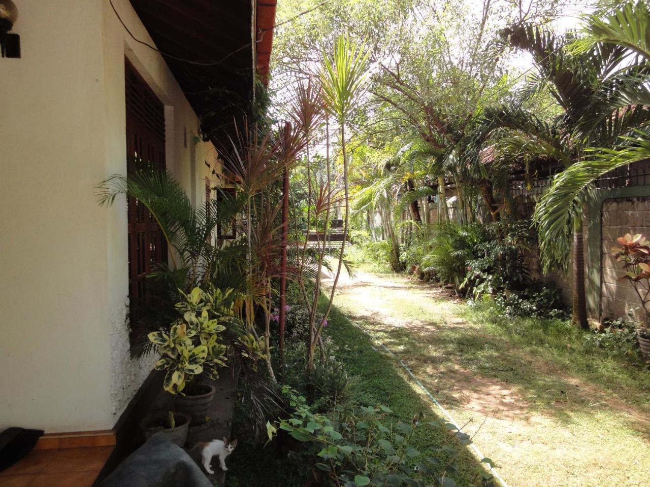 Lidwins Inn 15 Minutes To The Airport Negombo Luaran gambar